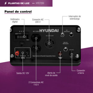 Generador Profesional Hyundai 7250w C/motor 15 Hp 110v/220v