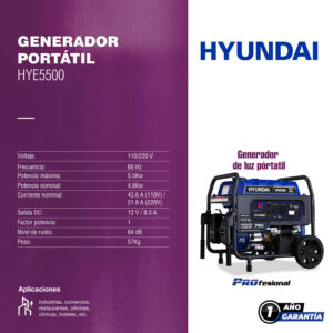 Generador Profesional Hyundai 5500w C/Motor 10 Hp 110v/220v