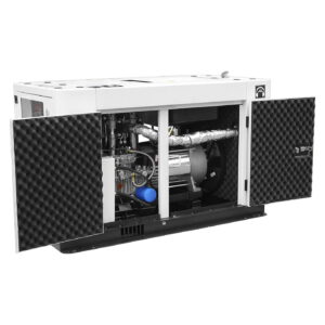Generador Silencioso Profesional Hyundai Con Motor Diésel Potencia Máxima 14.5 Kw 110v/220v